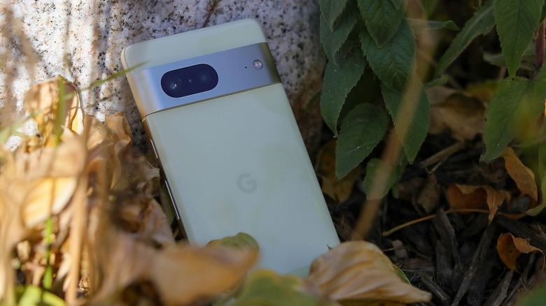 Google Pixel 7 amid leaves and rock