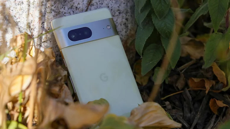 Google Pixel 7 rear camera