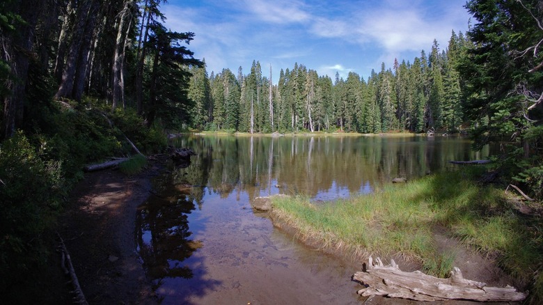 GoPro Hero (2024) lake photo