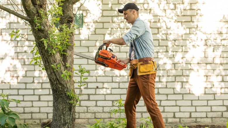 person using orange chainsaw