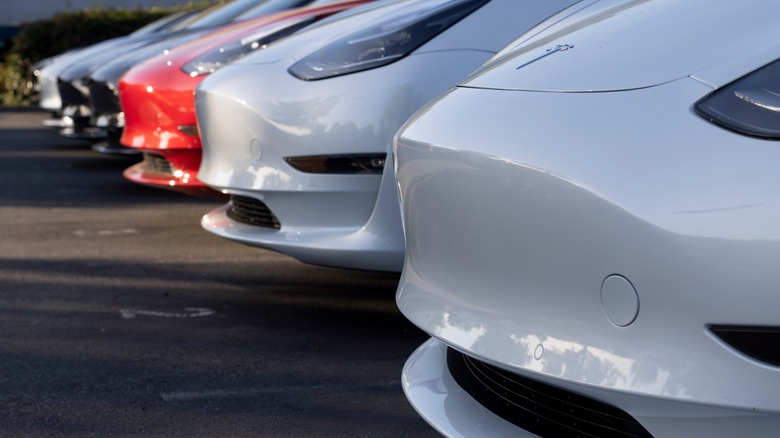 Teslas cars parked in line