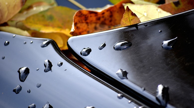 Car hood with water drops