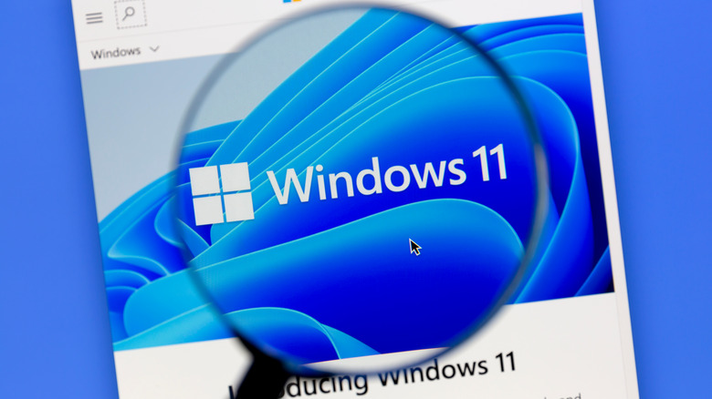 windows 11 logo magnifying glass