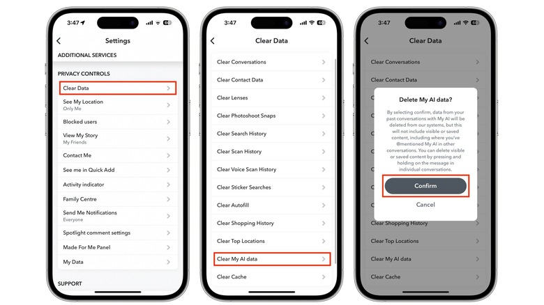 Snapchat My AI clear data menu