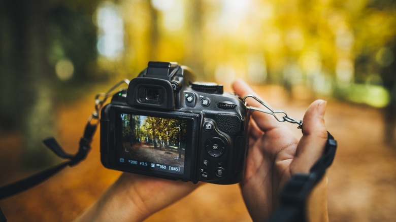 Person capturing an image using a DSLR camera