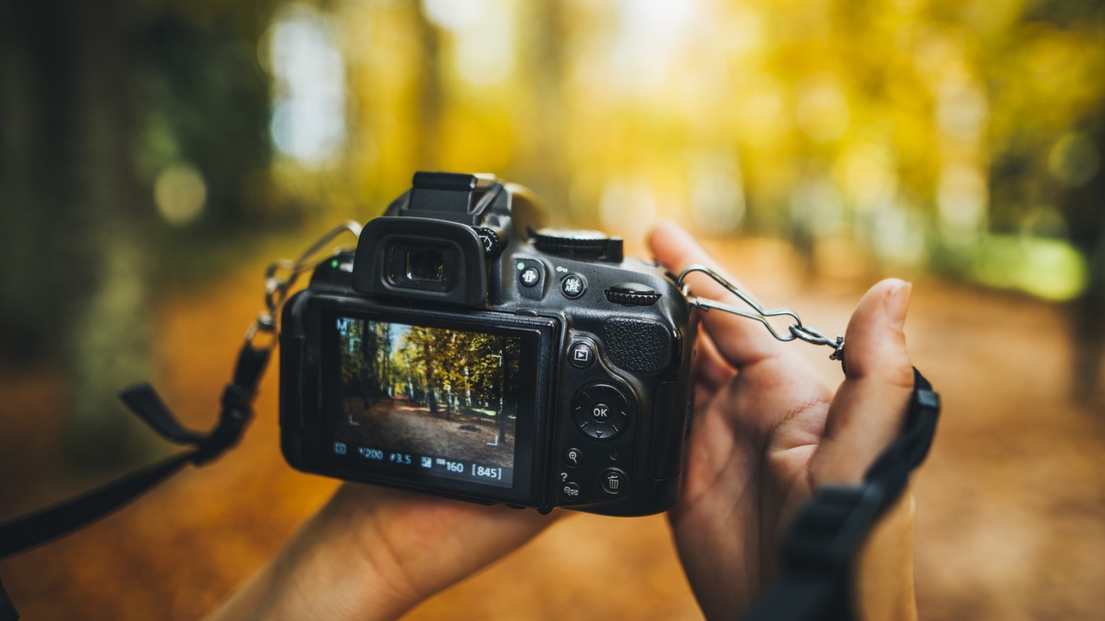 Here's What DSLR Stands For (And Why These Cameras Are Still So Popular)