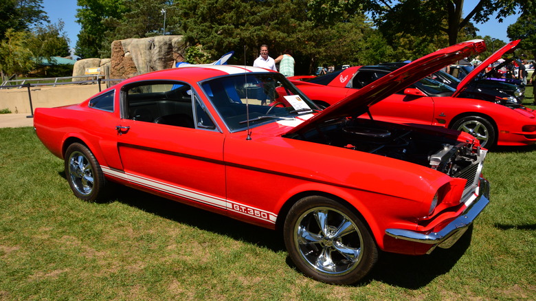 A classic Shelby Mustang