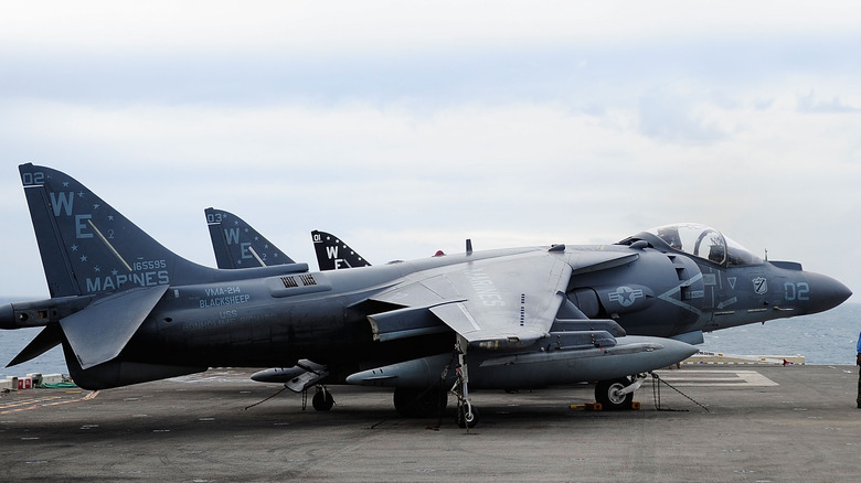 Harrier family jet on ground