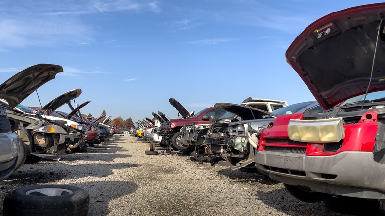 Automotive scrap yard