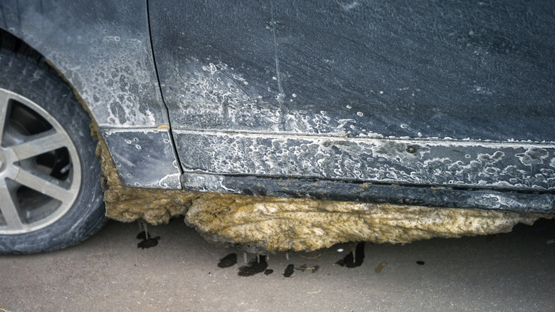 Collected road salt on side of car