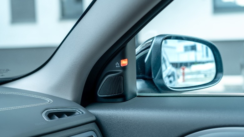 Car's side view mirror