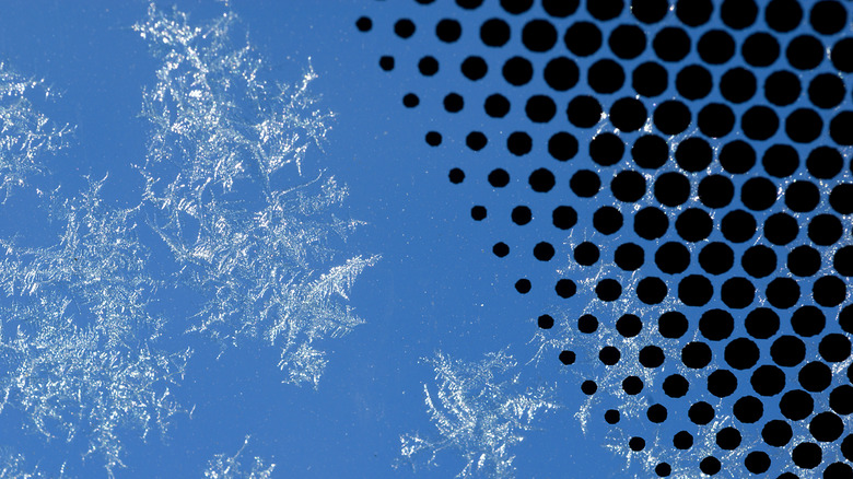 Black dots on the windshield of a car.