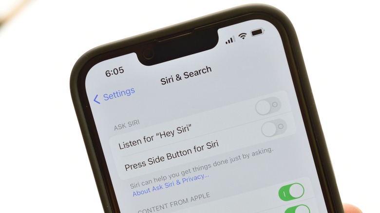 Siri & Search menu on iPhone