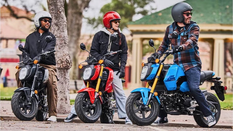 People sitting on Honda Groms in road