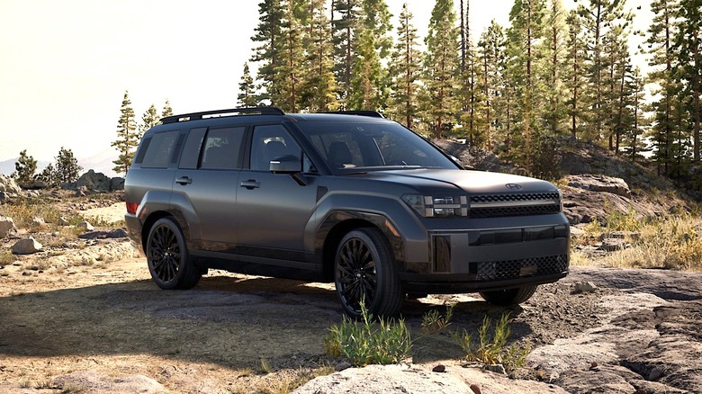 Hyundai Santa Fe parked on mountain