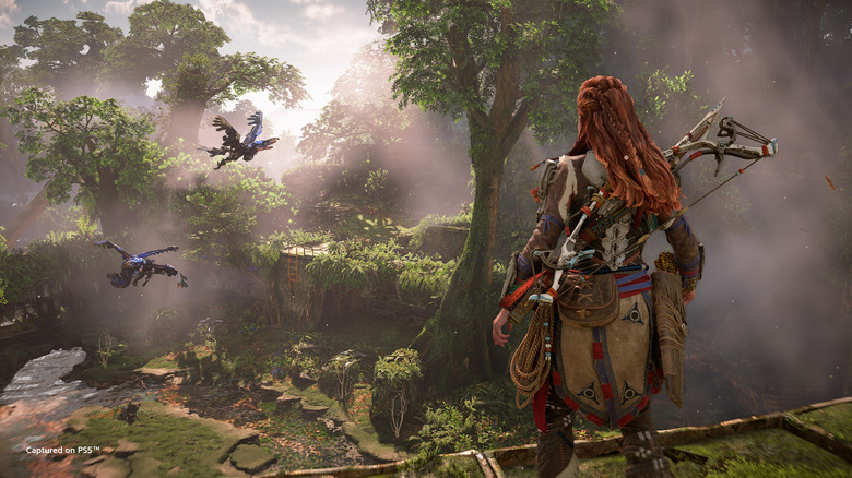 Aloy looking at Glinthawks