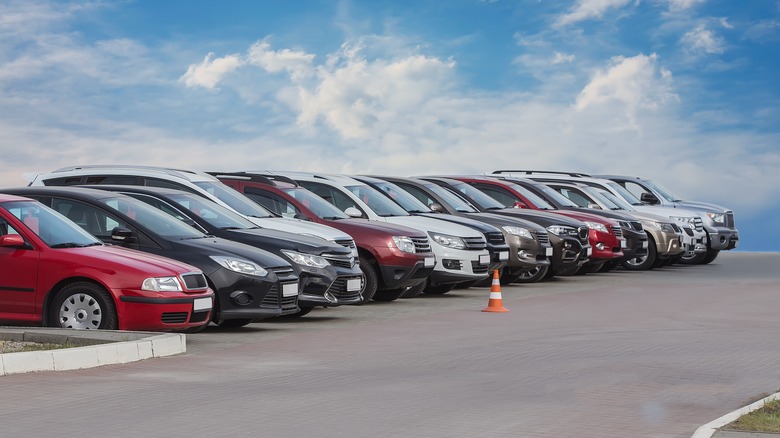 vehicle lineup in car dealer lot