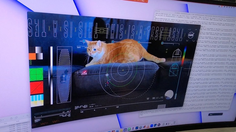 Monitor showing orange cat on cushion