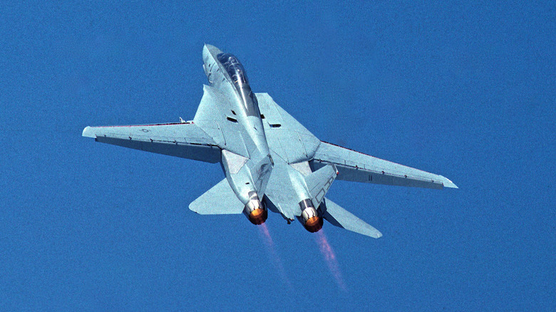 F-14 Tomcat soaring upward