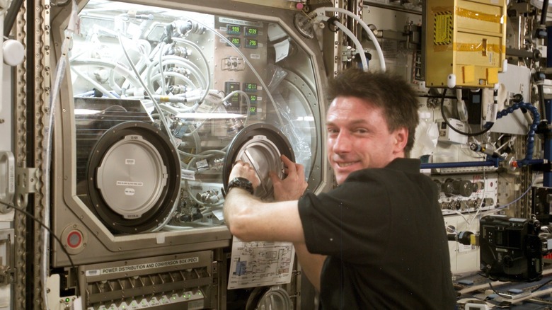 international space station glovebox experiment