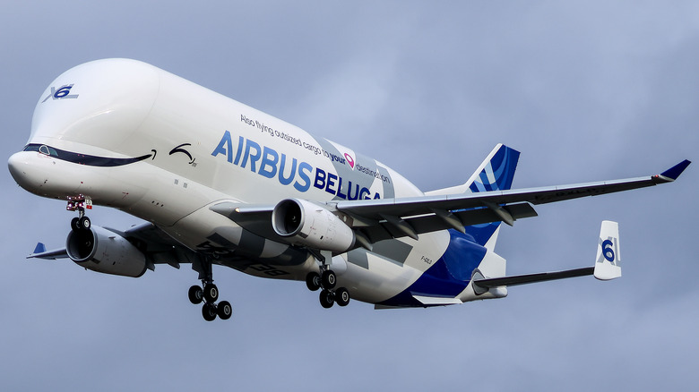 Airbus BelugaXL in flight