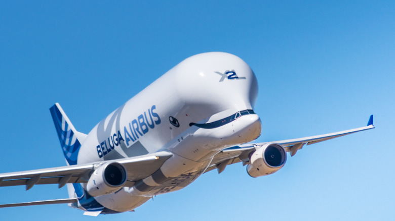 BelugaXL freighter landing