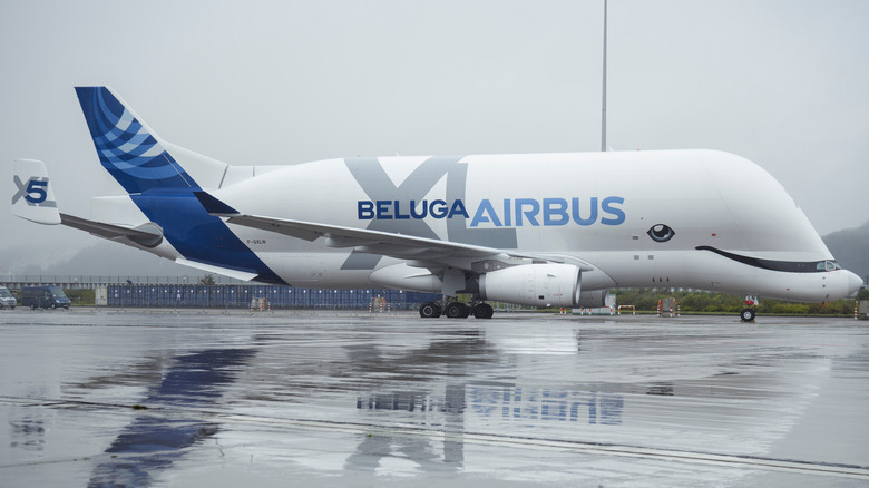 Beluga freighter on the runway