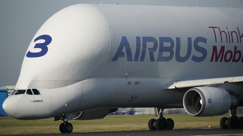 Beluga freighter close up view