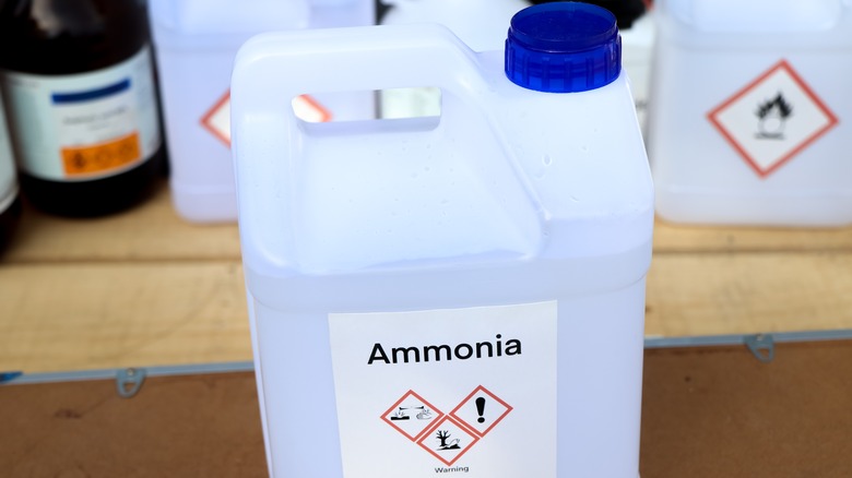 Anhydrous bottle on display