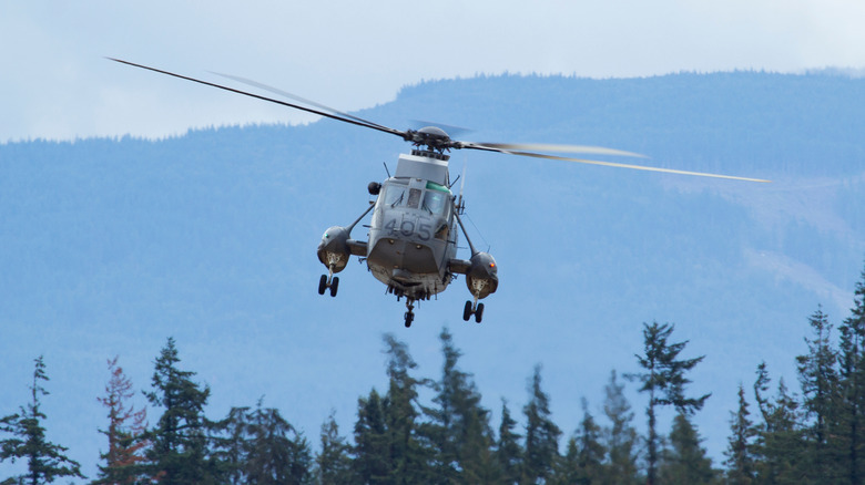 Sea King helicopter flying above trees