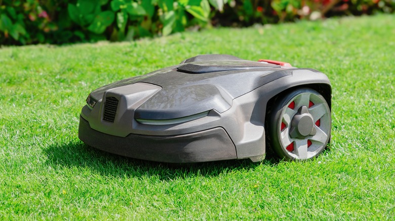 Robot lawn mower