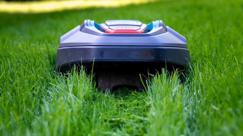 Robot lawn mower