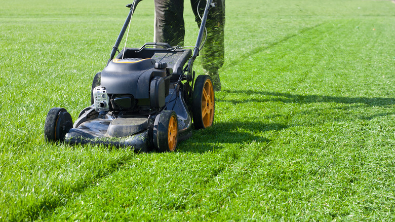 Man using lawn mower on large field