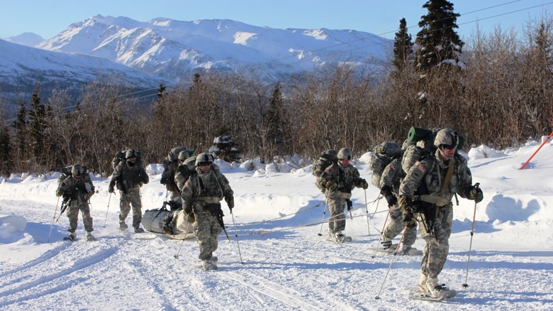 Army troops training on snow skiis in arctic