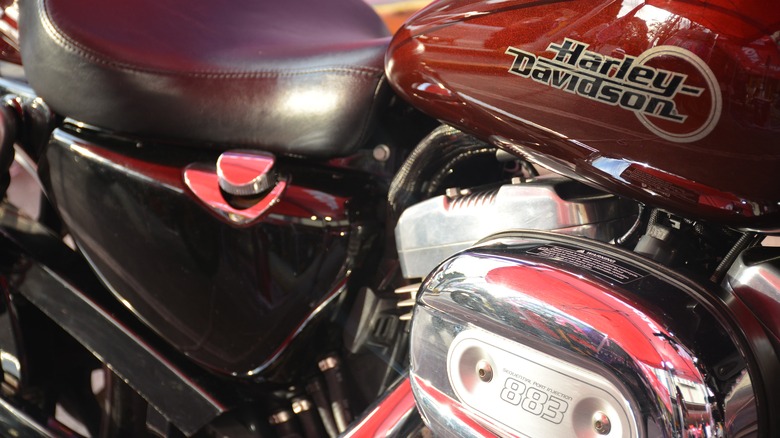 Close up of Harley-Davidson Iron 883