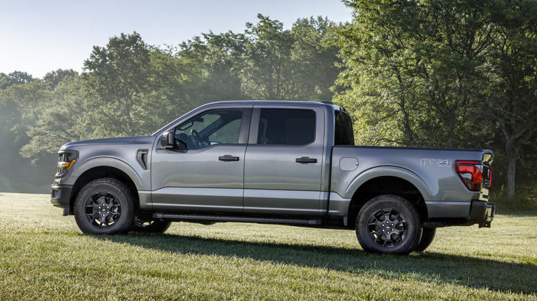 Ford F-150 profile view