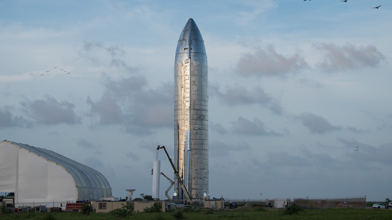 Starship in field