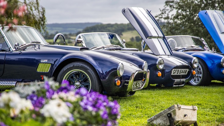 Shelby Cobras