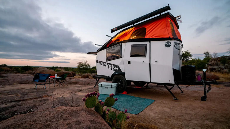 Mini camper with prickly pear cactus in front