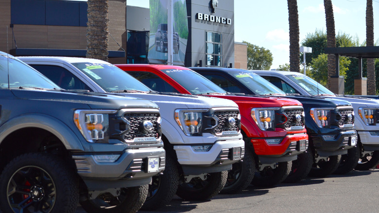 Black Widow trucks parked in a row at a Ford dealership