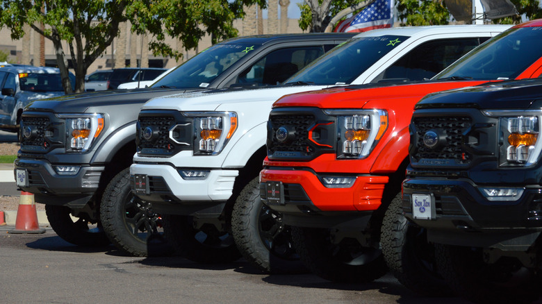 The fronts of several Ford Black Widows parked in a row