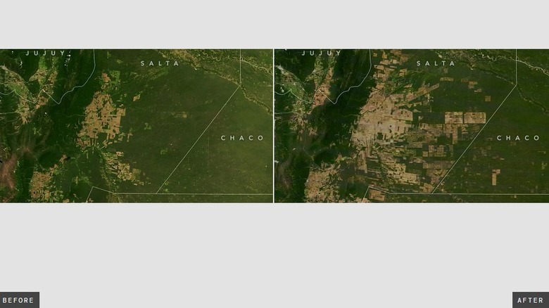 Gran Chaco Deforestation