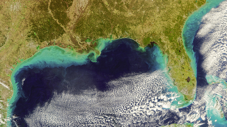 Sediment flowing into the Gulf Coast of Louisiana