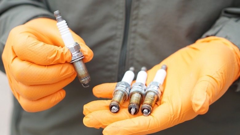 person holding spark plugs