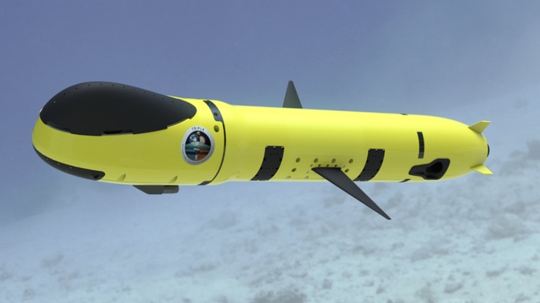 MARUM underwater vehicle model