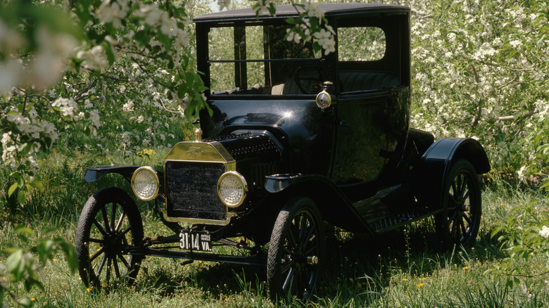 Black Model T parked on grass in a flowery field