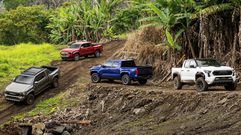 2024 Toyota Tacoma lineup