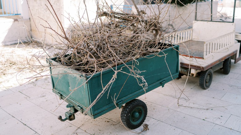 A utility trailer filled with twigs