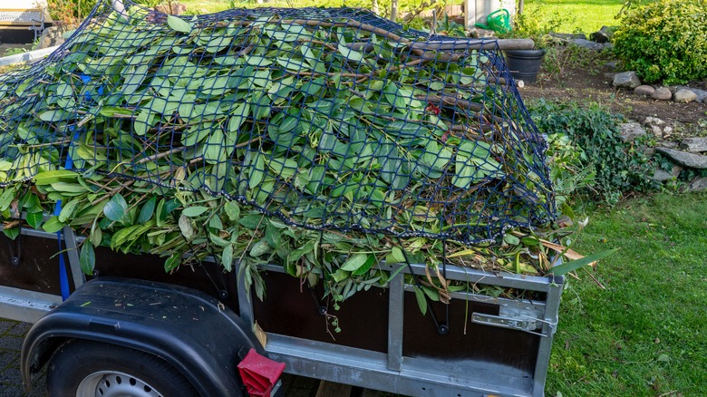 Transporting green waste on a utility trailer