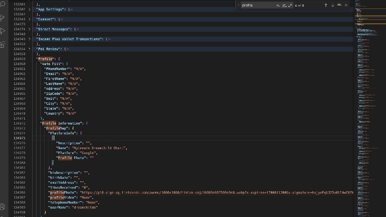 Screenshot of editing TikTok data on VS Code